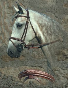 Dyon Anatomic Fancy Padded  Bridle with Flash