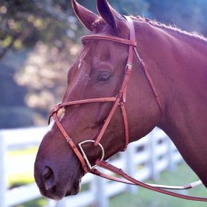 Edgewood Fancy Padded Figure 8 Bridle