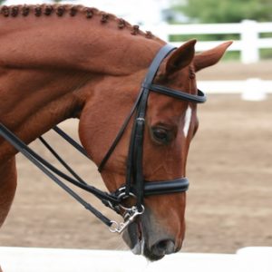 BR Double Weymouth Bridle with Reins