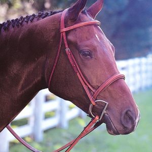 Edgewood Raised Fancy Stitched Padded Bridle