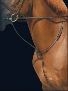 Dyon Raised Standing Martingale
