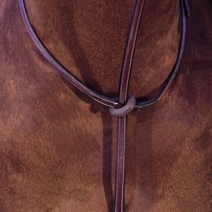 Hadfield's Raised Standing Martingale
