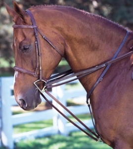 Snap Extra Long Draw Reins