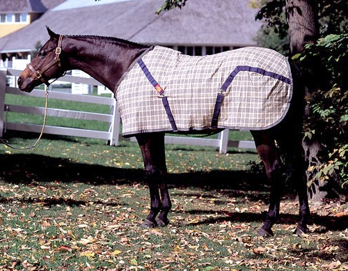 Baker Blanket Original Heavy Winter Weight - Running Fox