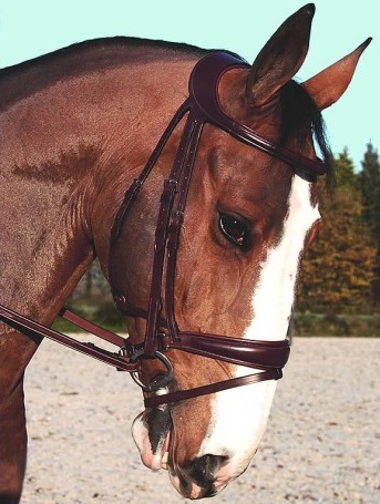 Dyon Difference Dressage Snaffle Bridle