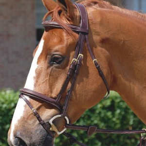 Dyon Anatomic Flash Noseband Bridle