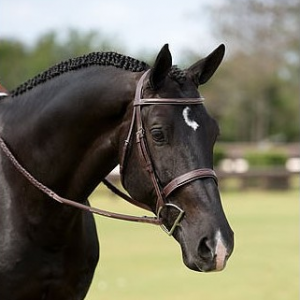 Dyon Wide Raised Fancy Stitched Hunter Bridle