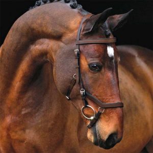 Rambo Micklem Competition Bridle