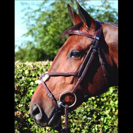 Dyon Figure Eight "No Ring" Special Bridle