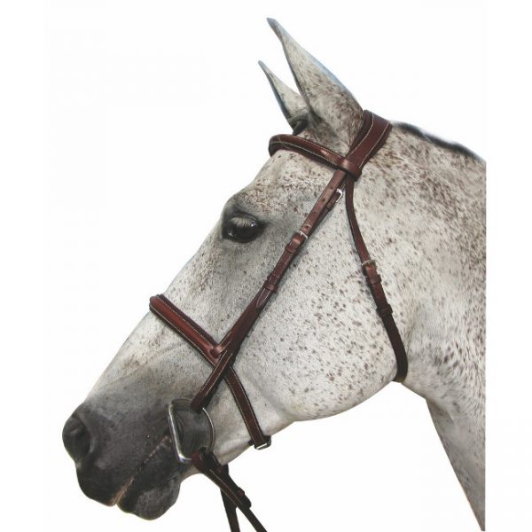 HDR Pro Mono Crown Padded Fancy Stitch Bridle