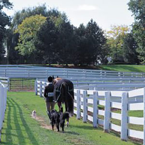 Pre-Owned Saddles