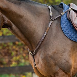 Martingales and Breastplates