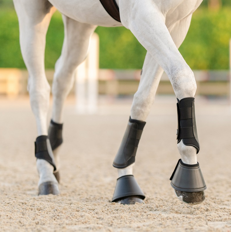  HefddEHY Horse Boots - Protective & Breathable Design,  Strong For Ultimate Comfort - Horse Sport Boots, Fly Boots & Splint Boots  For Horses