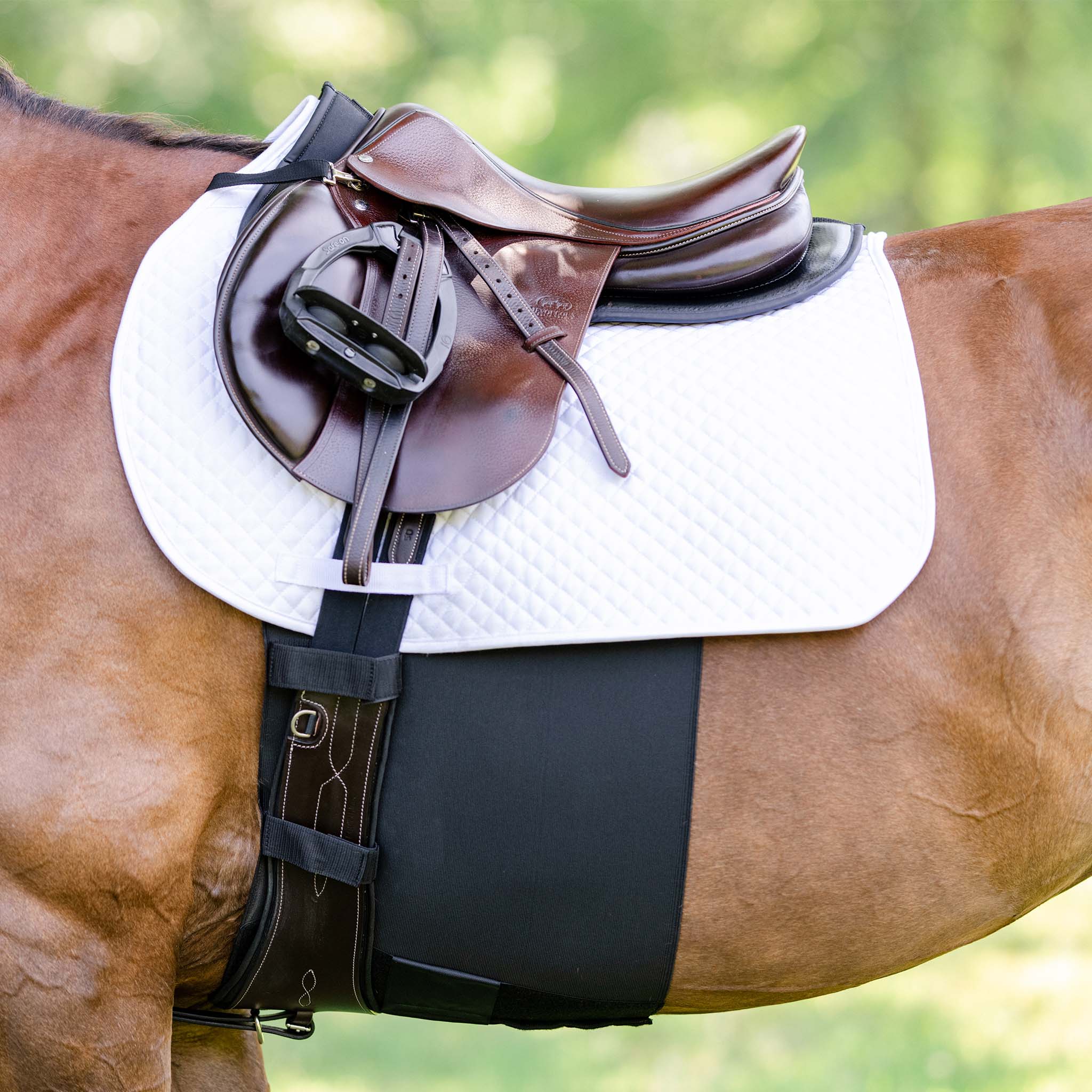Belly band for running sale