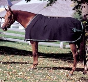 Custom Horse Blankets